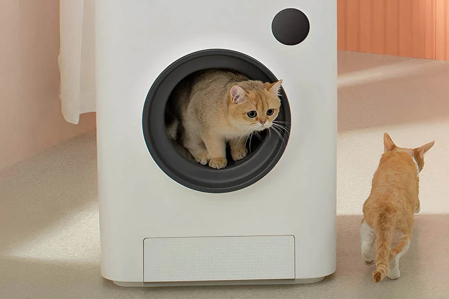 litter box that cleans itself